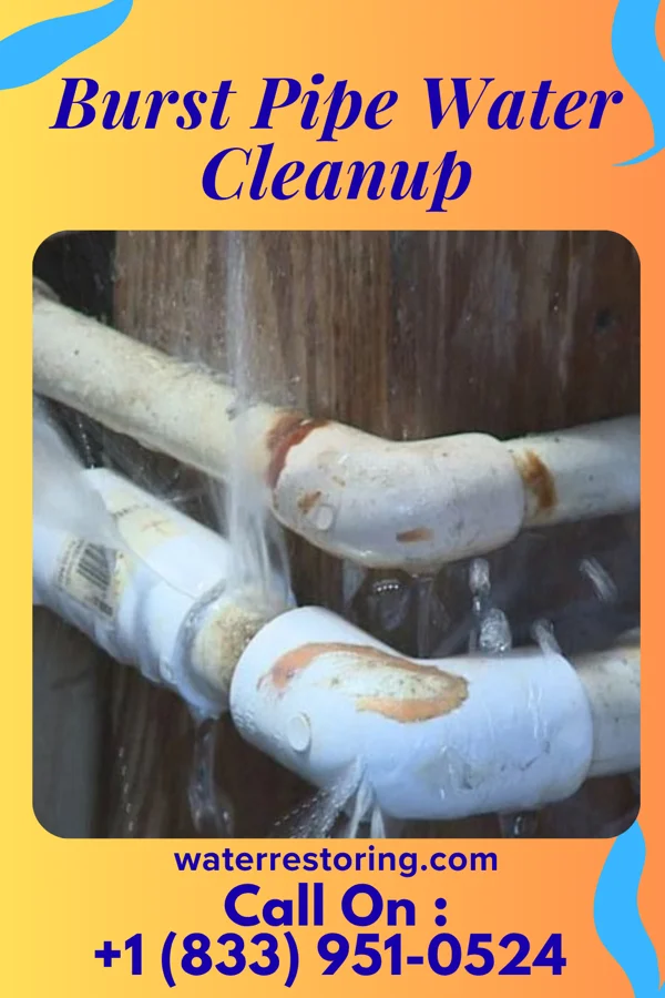 Burst Pipe Water Cleanup in Allardt, TN