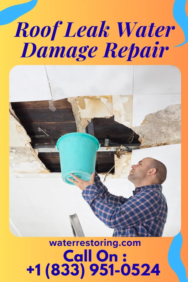 Roof Leak Water Damage Repair in Allardt, TN