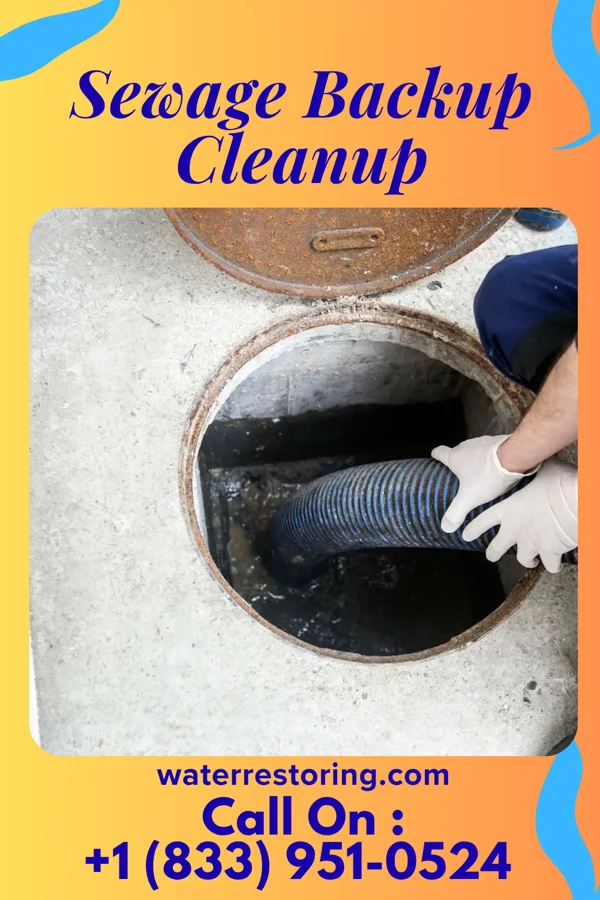 Sewage Backup Cleanup in Allardt, TN