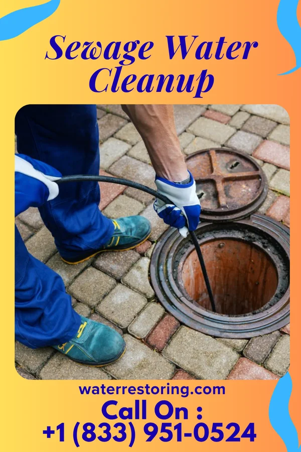Sewage Water Cleanup in Allardt, TN