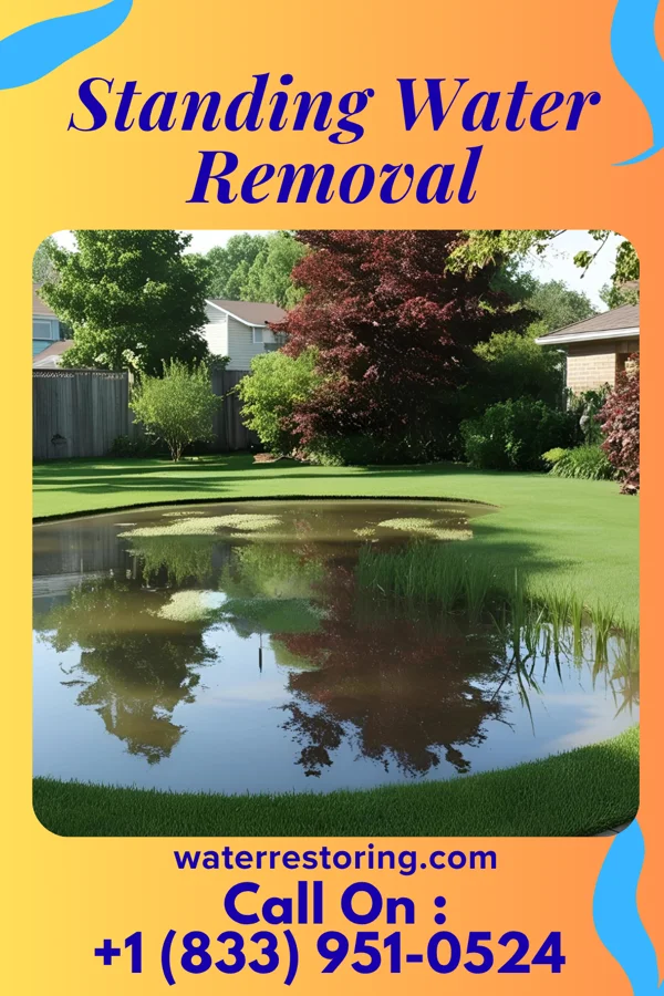 Standing Water Removal in Allardt, TN